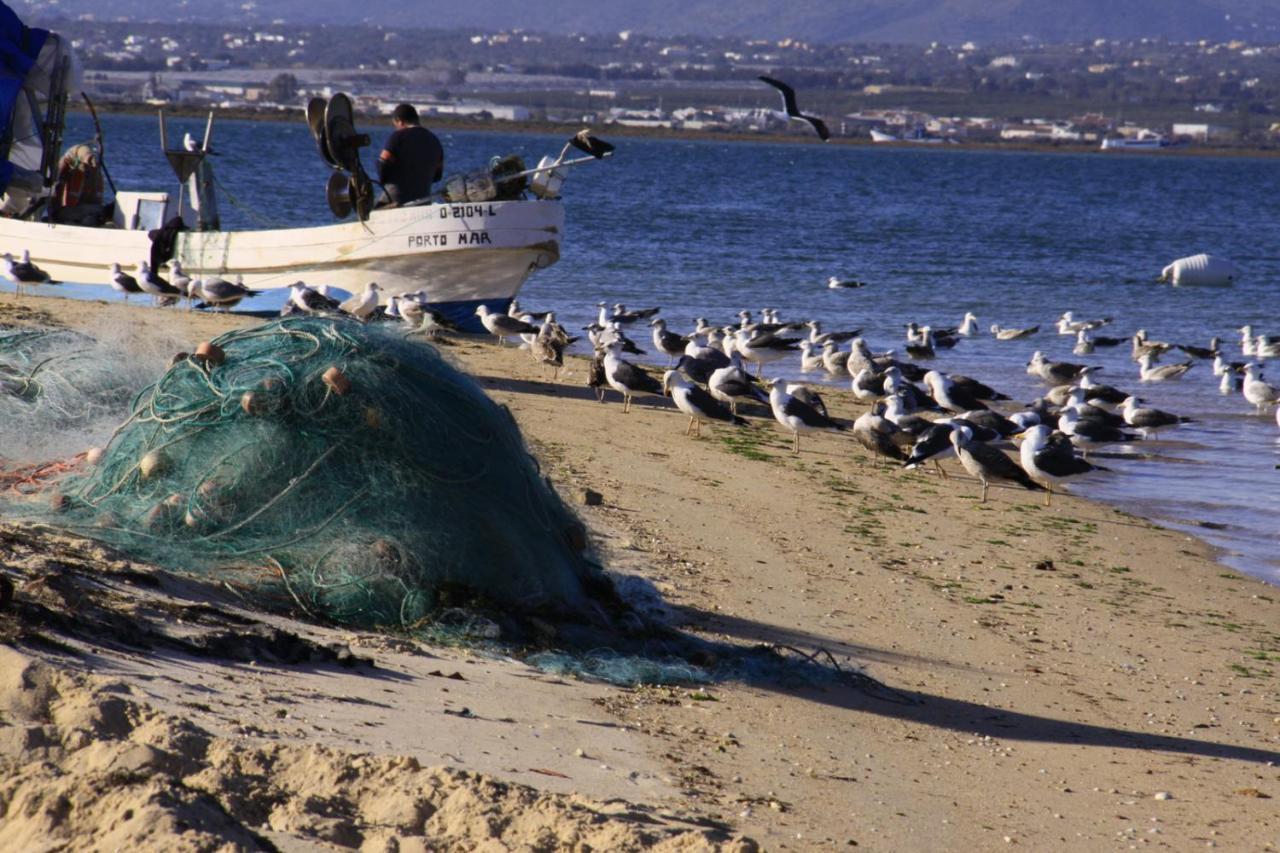 Dans Les Nuages Διαμέρισμα Armação de Pêra Εξωτερικό φωτογραφία